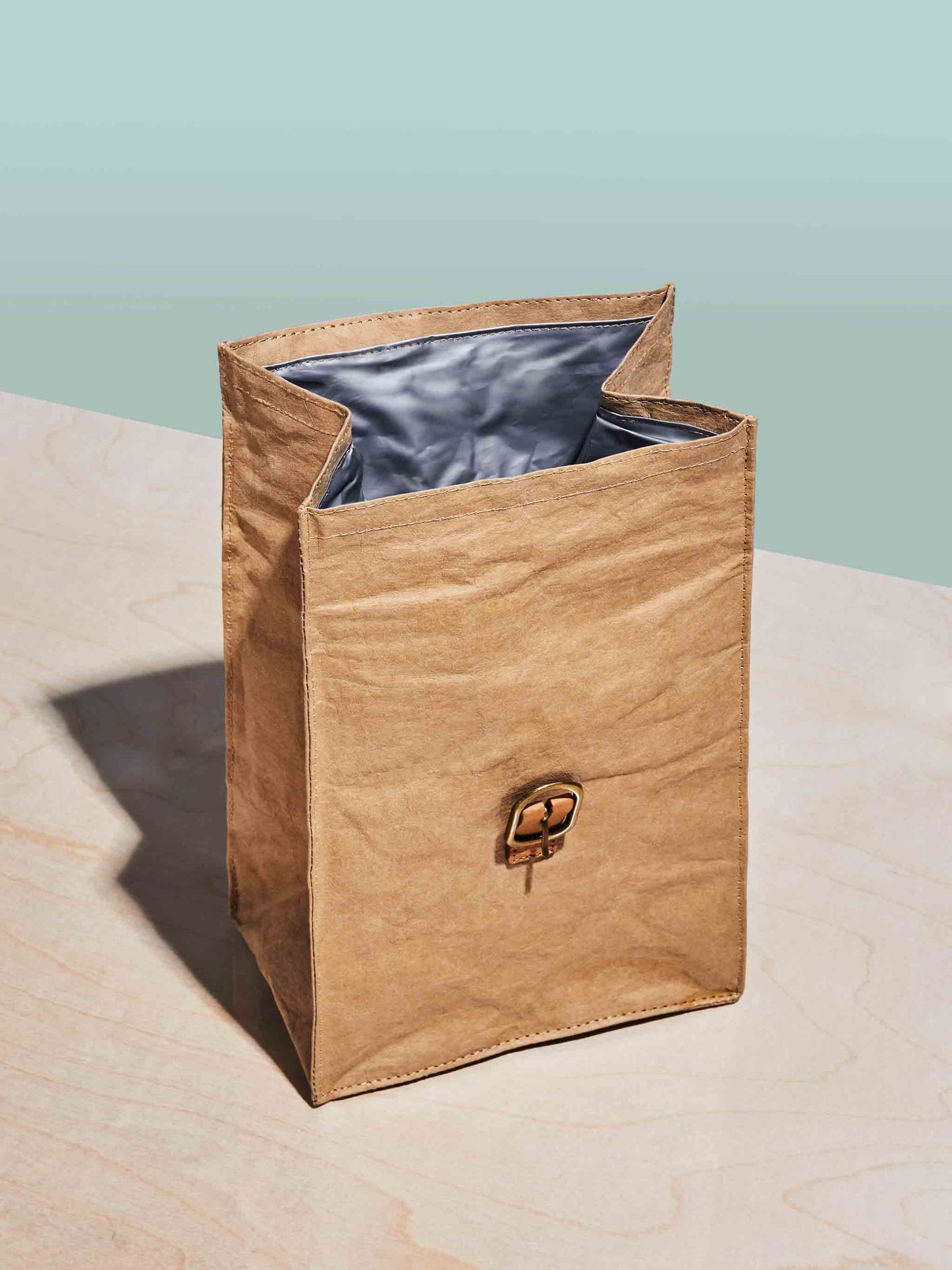 Paper Bag Lunch Cooler