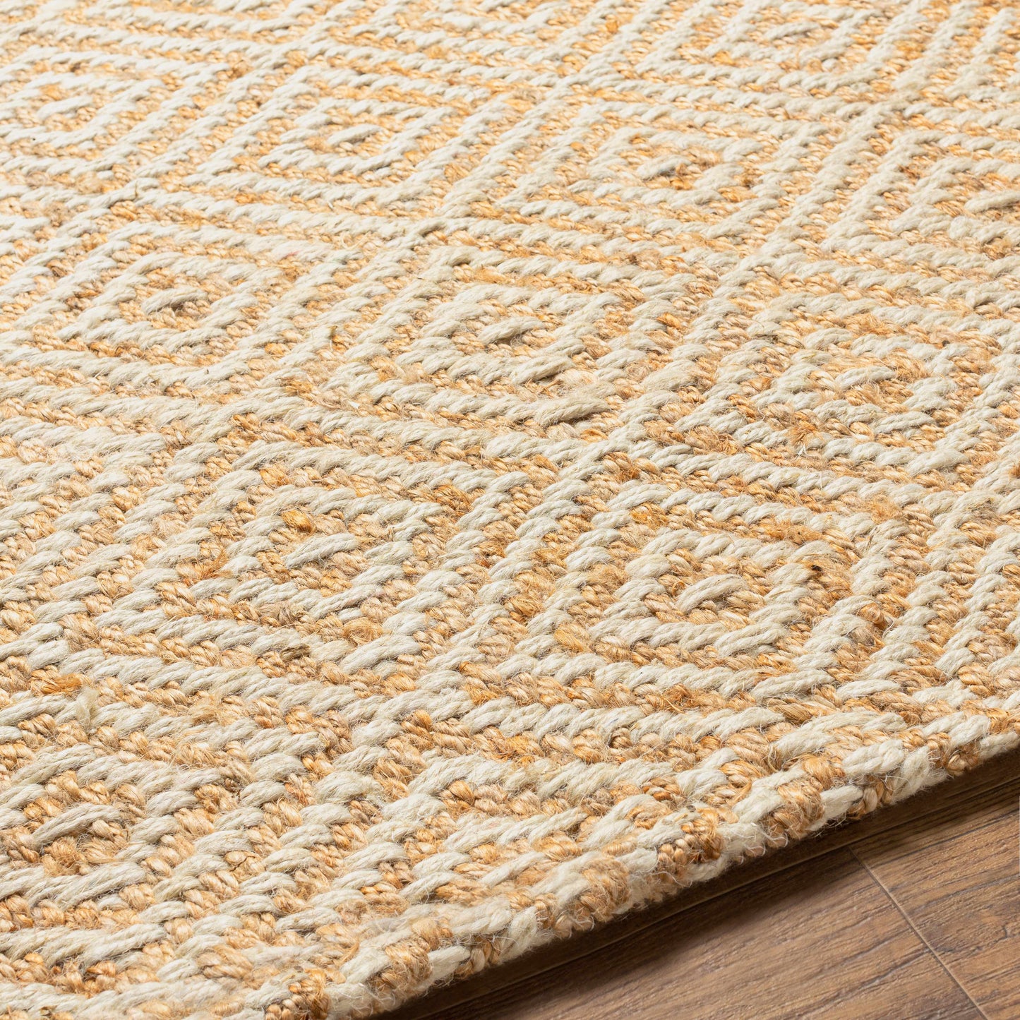 Eriko Area Rug - Clearance